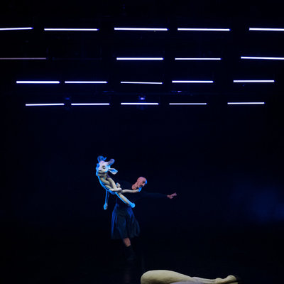 IMPOSTOR <em>Photo: Saša Huzjak</em>