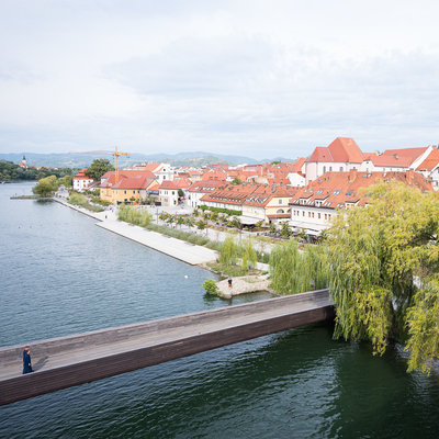 GALEBI ODLETIJO ZGODAJ <em>Foto: Saša Huzjak</em>
