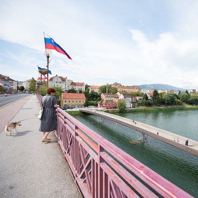 GALEBI ODLETIJO ZGODAJ <em>Foto: Saša Huzjak</em>